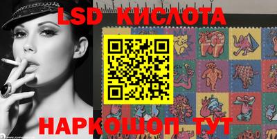 спиды Камышлов