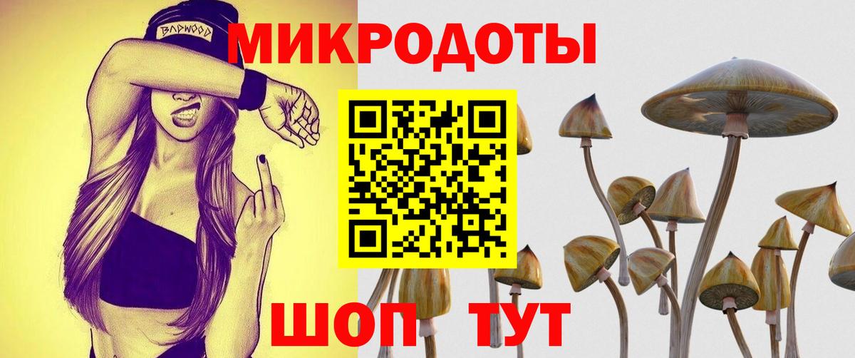 Елабуга  закладки  Вход с VPN  Псилоцибиновые грибы Cubensis 